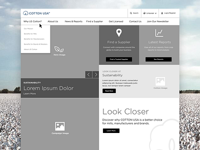 Cotton USA Website Wireframe