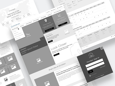 Cotton USA Website Wireframes b2b corporate homepage ux web wireframes