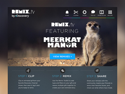 Remix Gif Maker Site Design animal planet clips gif remix tv website website design
