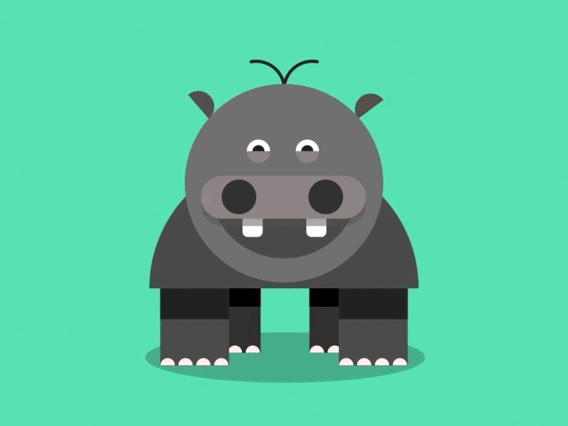 Hippo. animal character hippo