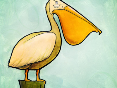 Pelican Illustration acrylic illustration pelican sharpie