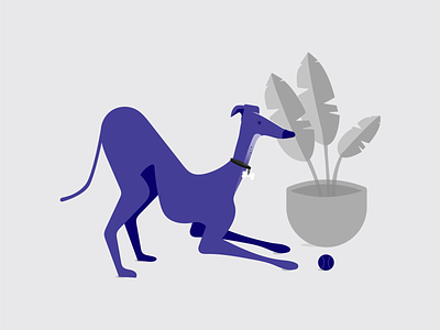 Playtime corona digital illustration flat design greyhound illustration illustration digital illustrator italian greyhound lockdown playtime purple stayinside vector vector illustration