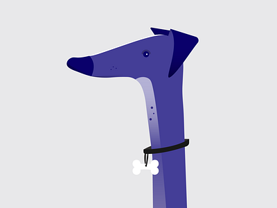 Why so blue, Zhu? blue digital illustration flat design greyhound illustration illustration digital illustrator italian greyhound purple vector vector illustration