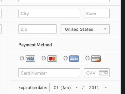 Clean Order Form credit card form input light ui