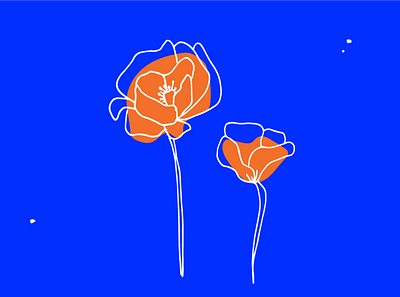 Poppies illustration poppy