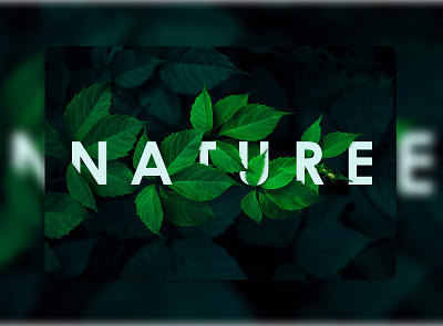 Nature app design figma ui uiux ux web design