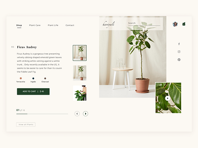 Bring the green dailyui design plants ui