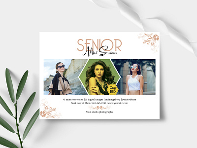 Senior Photography mini session Template