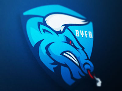 Bulls Shield branding bulls byfa football identity mascot pee wee shield sport logo