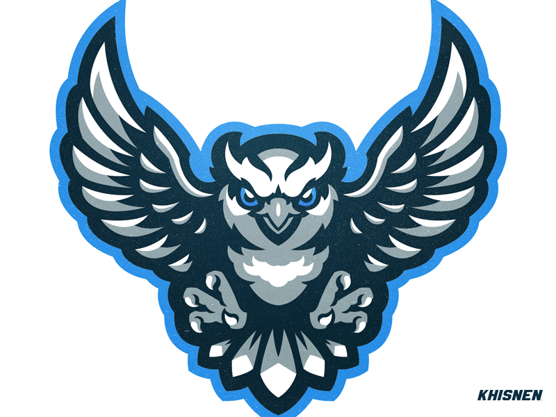 Owl Mascot Process birds branding logos logotype mascot owls sketchs