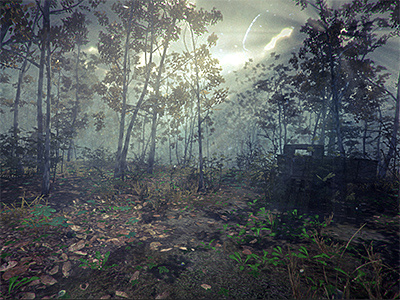 Unity3d in-game Screengrab foliage forest game green indie lighting modeling plant rendering textures tree unity3d