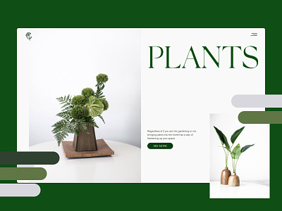 Plant Shop design flowers green landing plant ui web