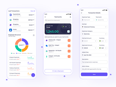 Transaction Details - Expenses Sharing App -Financial - Qassemha