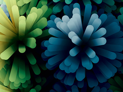 Dahlias.jpg 3d c4d colour flower form gradient palette pom shape wip