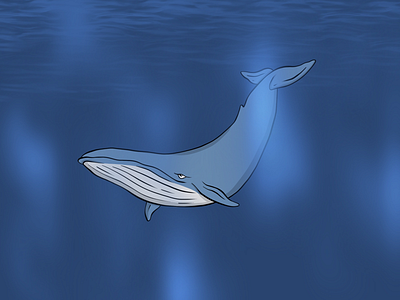 Whale...Whale...Whale... aquarium cartoon design graphic design illustration mammal ocean sea creature simple whale