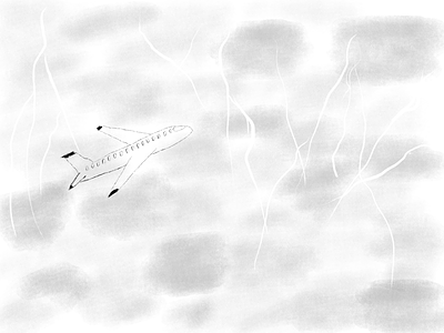Thunderstorm flight illustration