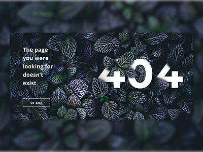 Daily UI 008 | 404 Page 008 404 404 page dailyui ui