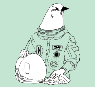 astro birds