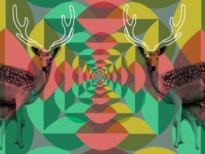 Spin Deer