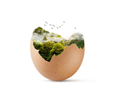 Forest in egg manipulation