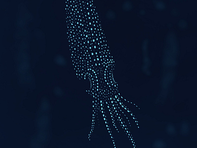 Firefly squid animal bioluminescence design digital painting displate firefly squid illustration japan procreate procreate art sea squid