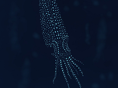 Firefly squid