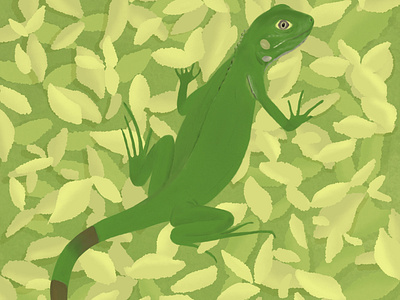 Iguana