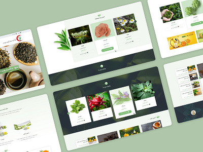 Herbs Online Shop design ui ux web