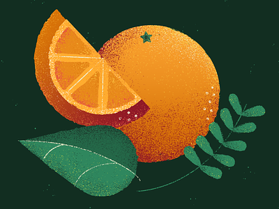 L'orange dark food fruit grain illustration leaf orange slice texture