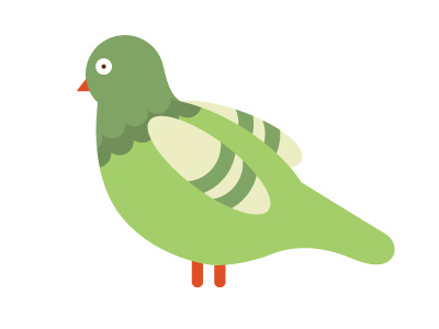 Stumpy Pigeon illustration pigeon stumps