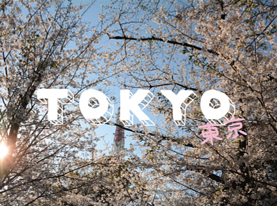 SAKURA SZN asia cherry blossoms design hanami hand drawn handletter handlettering illustration japan japanese sakura travel travel photography typography vector type