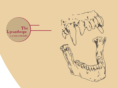 Project of the Day anatomy bones lycan teeth werewolf