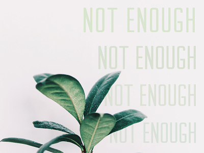 Not Enough enough foliage more nature no photography plant typography