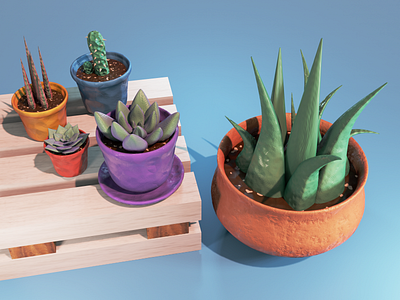 3D plants