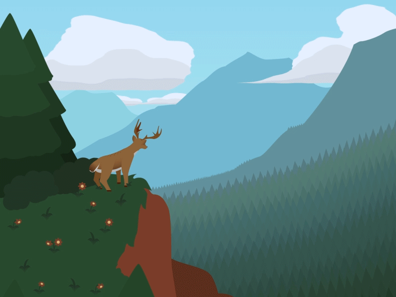 Birdwatching animated gif antlers bird birds buck deer design forest grass green illustration mograph mountains pine wild wilderness wildlife