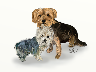 Coco & Bailey art cute design dogs illustration pet shaggy yorkie