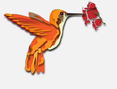HummingB ird art bird bird illustration design hummingbird hummingbirdillustration hummingbirds illustrate illustration illustrator orange sunset