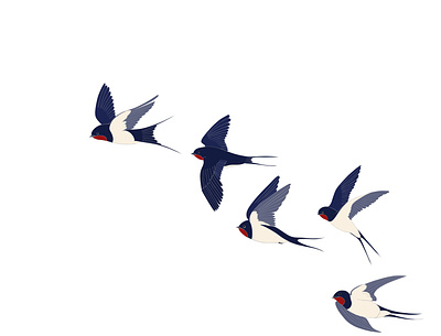 Flying swallows birds design fashion illustration pattern print style swallows t shirt vectorart