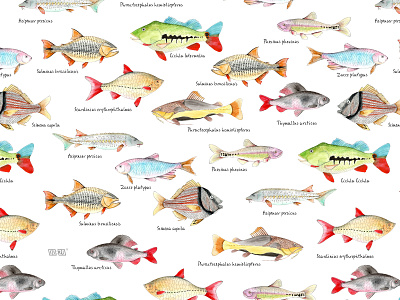 Fish print animals design fashion fish illustration nature pattern pattern design print textile textile design textiles watercolor
