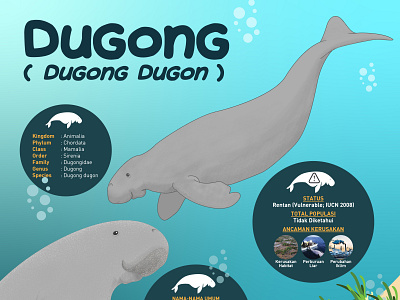 Dugong illustration