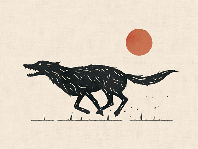 Smile E. Coyote coyote fur run sun texture