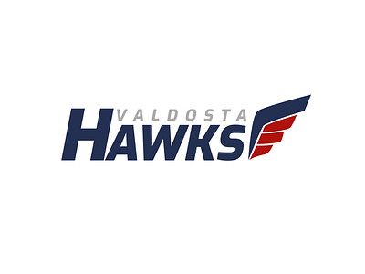 Valdosta Hawks Logo for Professional Football League