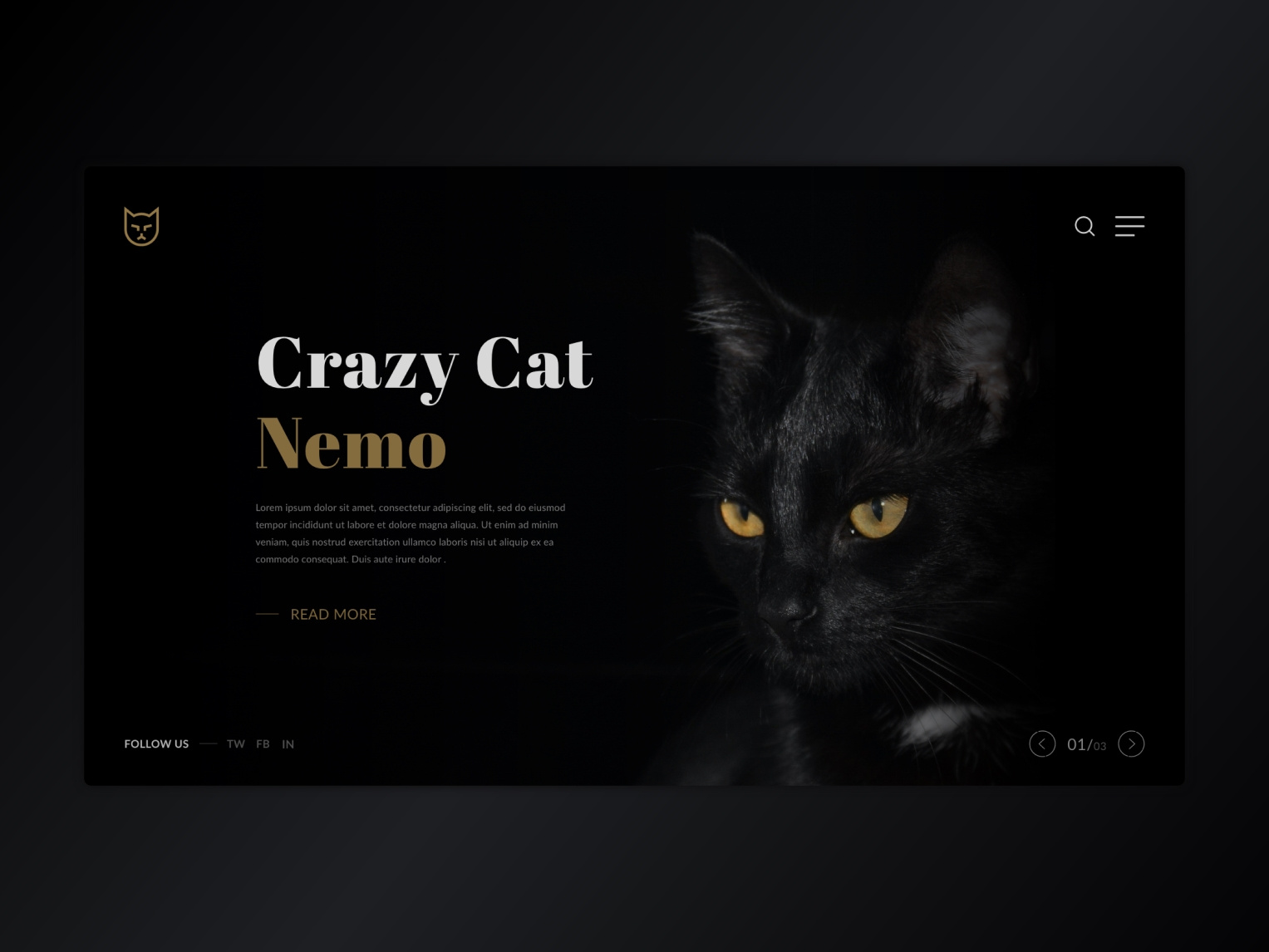 Cat adoption web concept by GoProtoz Design Studio on Dribbble