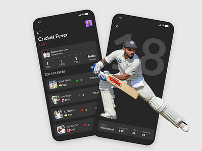 Cricket fever statistics app