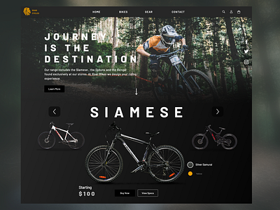 Roar Cycles Landing Page Concept