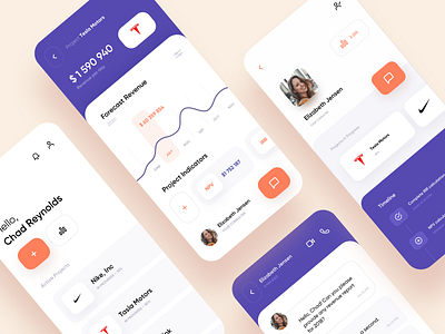 Consulting Service - App Design