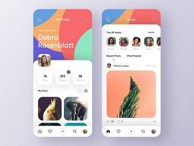 Social app - Mobile Concept