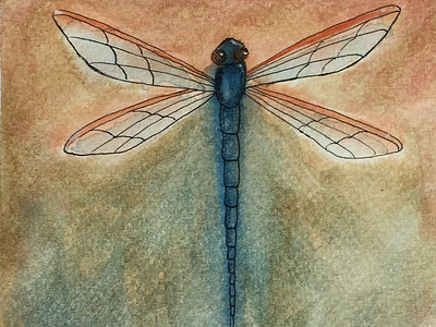 Dragonfly watercolor drangonfly