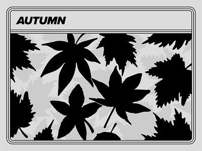 CHANGE LIKE A SZN: AUTUMN abstract autumn bold change creative design drawing fall halsey illustration leaf leaves nature procreate seasons vector weather