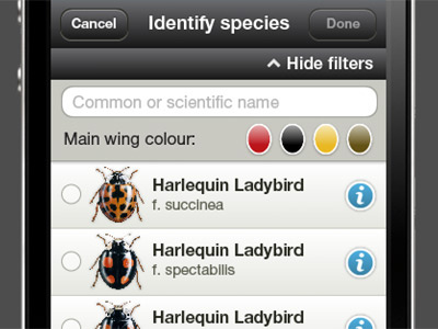 Ladybird Survey App mobile ui